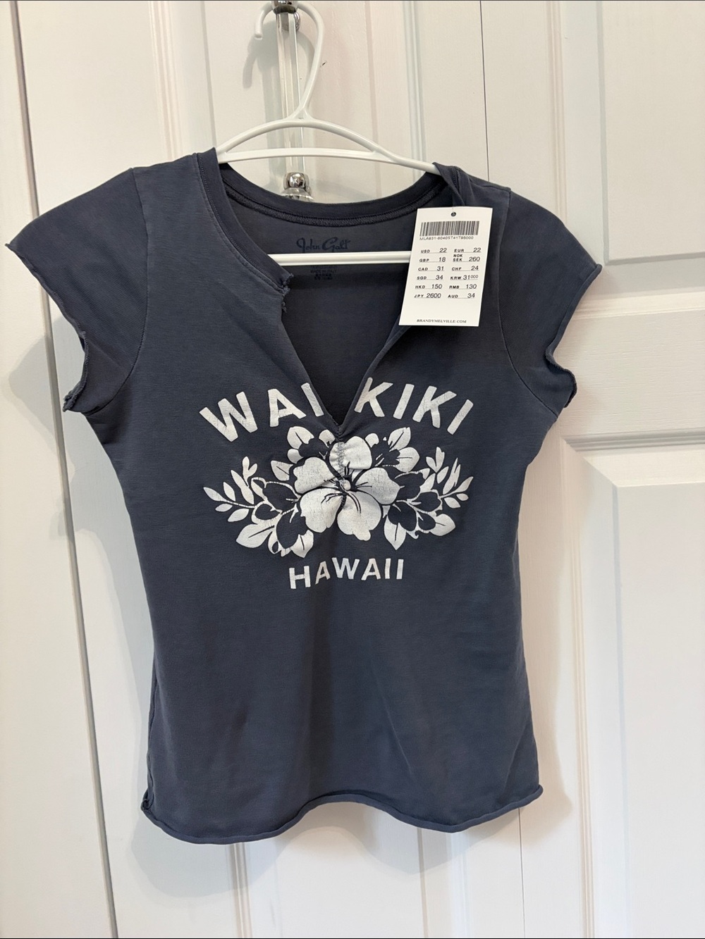 BNWT Brandy Melville Waikiki Hawaii Floral Graphic Tee - Navy